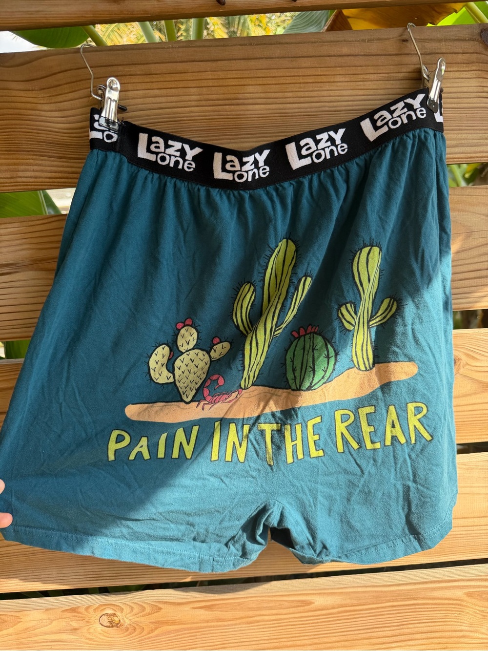 Lazy One Teal Men’s Graphic Boxer Shorts with Cactus Print
